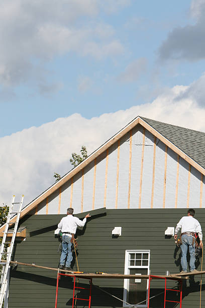 Best Hoarding Cleanup  in Havre De Grace, MD